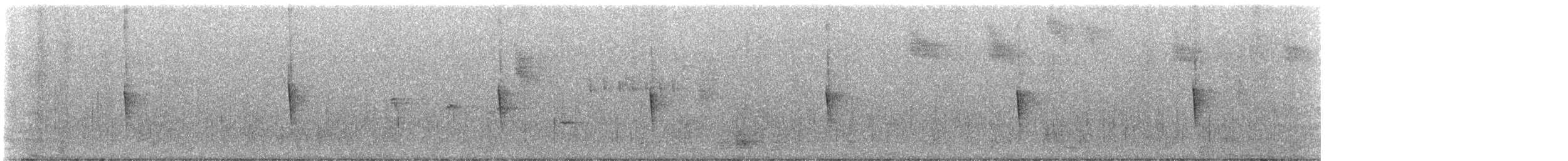 סבכון קנטקי - ML646034661