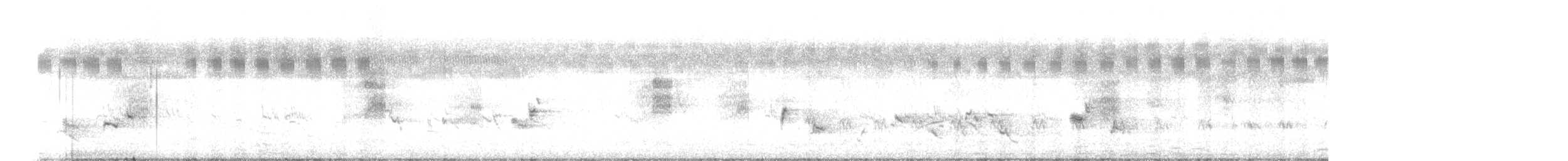 Long-tailed Shrike - ML646034705