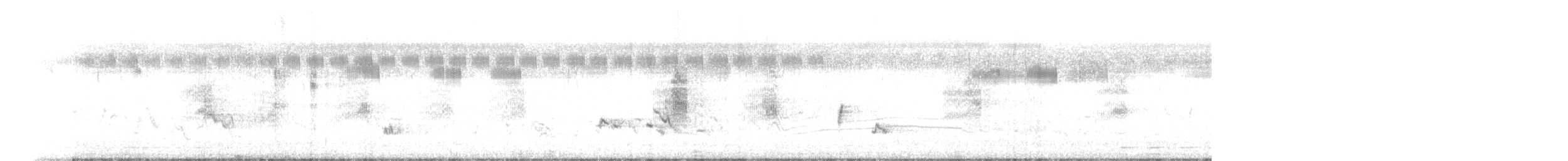 Long-tailed Shrike - ML646034789