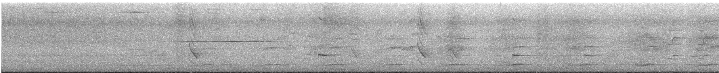 Channel-billed Cuckoo - ML646034893