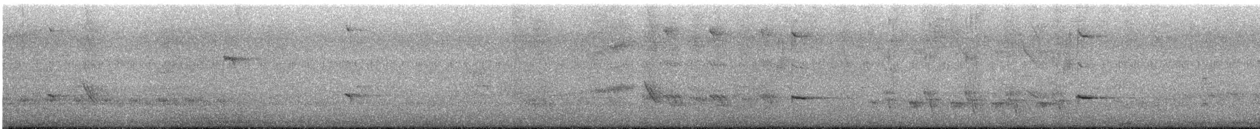 Australasian Figbird - ML646034894