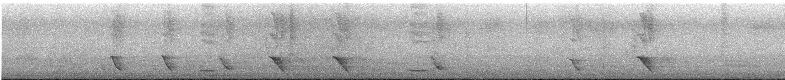 Australasian Figbird - ML646034978