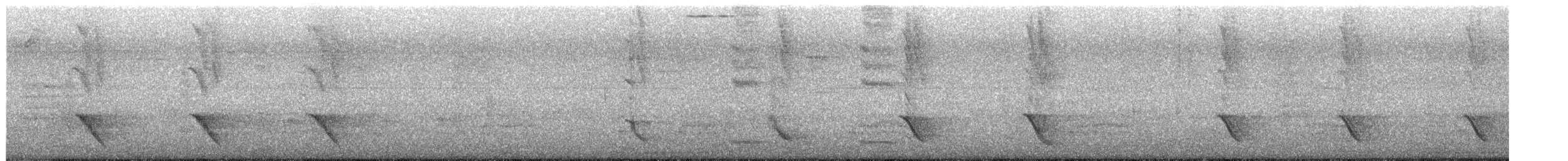 Australasian Figbird - ML646035020