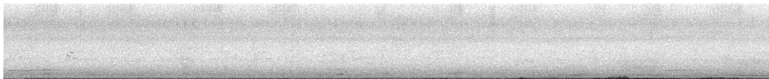 オーストラリアオニカッコウ - ML646035139