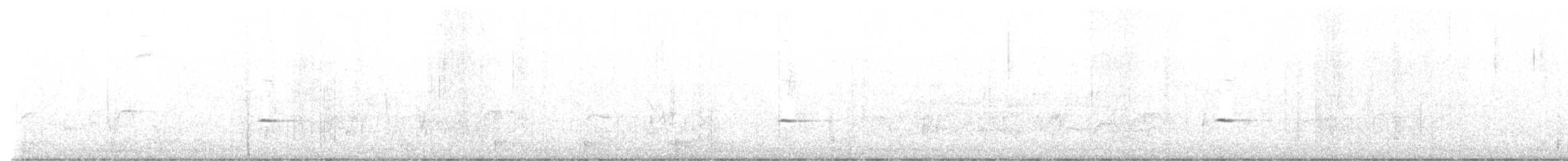 ウソ - ML646035147