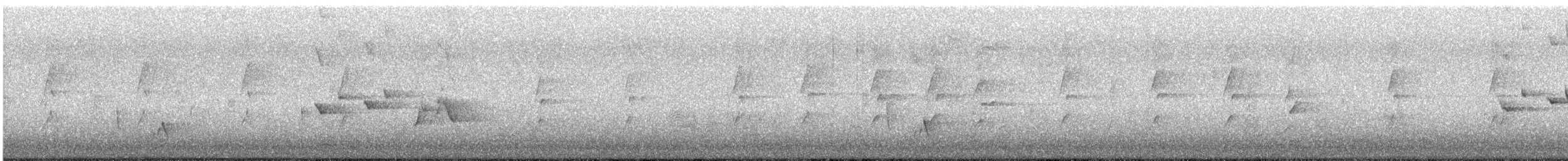 Willie-wagtail - ML646035167