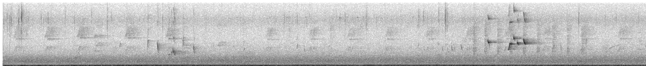 Willie-wagtail - ML646035169