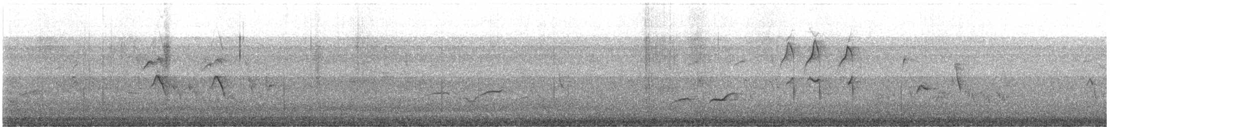 Chiguanco Thrush - ML646035744