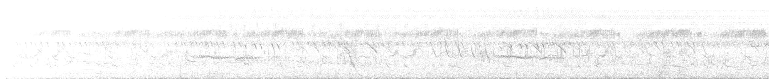 Gray Tit-Flycatcher - ML646035787