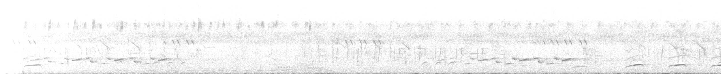 Common Scimitarbill - ML646035807