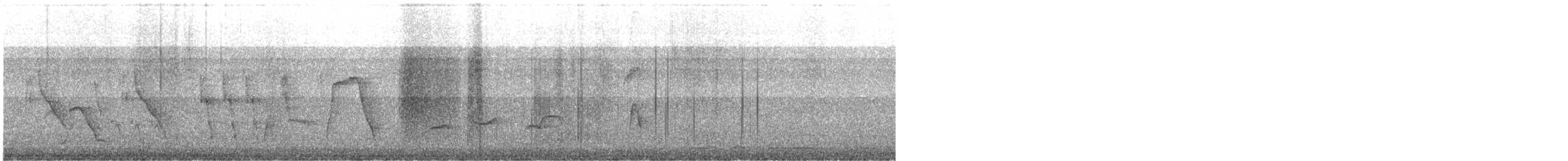 Scrub Blackbird - ML646035927