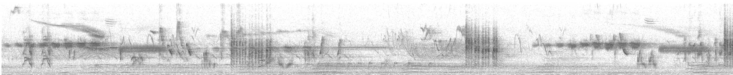 Lesser Whitethroat (curruca/blythi) - ML646036043