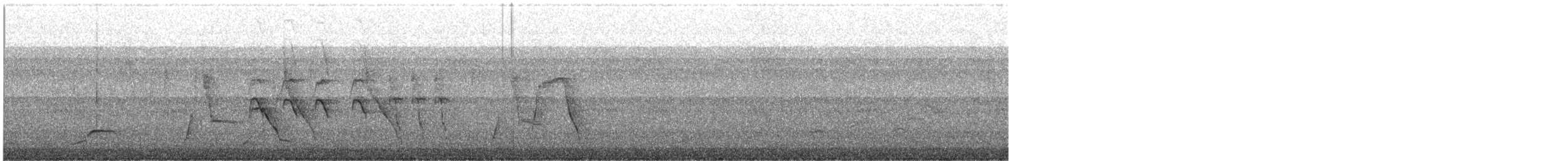 Scrub Blackbird - ML646036105