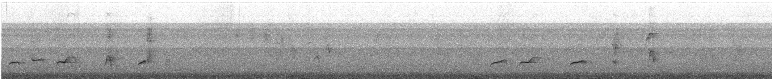 ナンベイツグミ - ML646036262