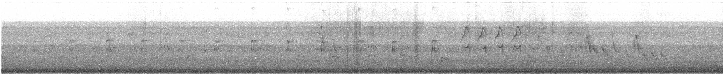 Groove-billed Ani - ML646036333