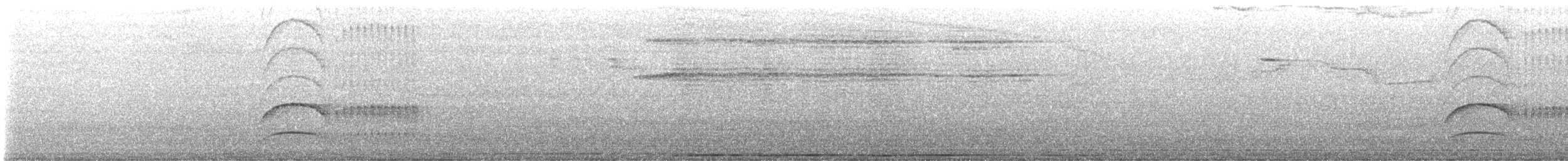 Cliff Flycatcher - ML646036423