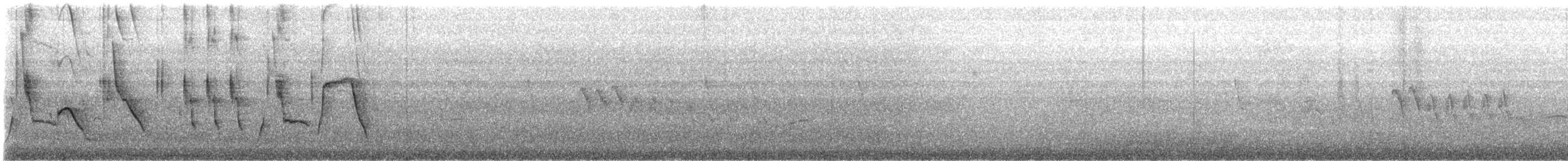 Scrub Blackbird - ML646036624