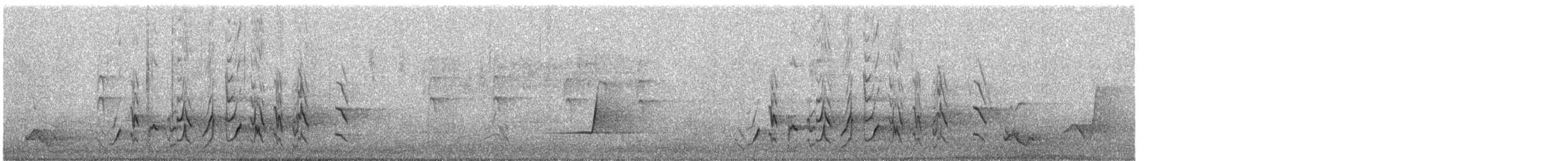 Australian Ringneck - ML646036682