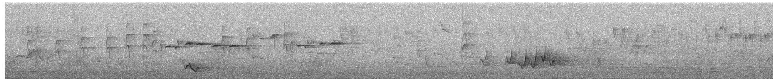 Little Friarbird - ML646036686