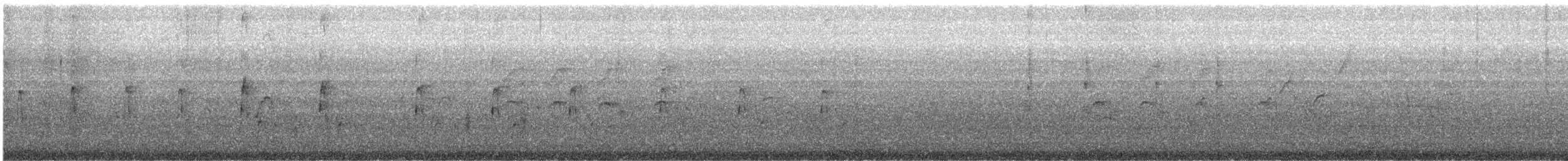 Groove-billed Ani - ML646036776