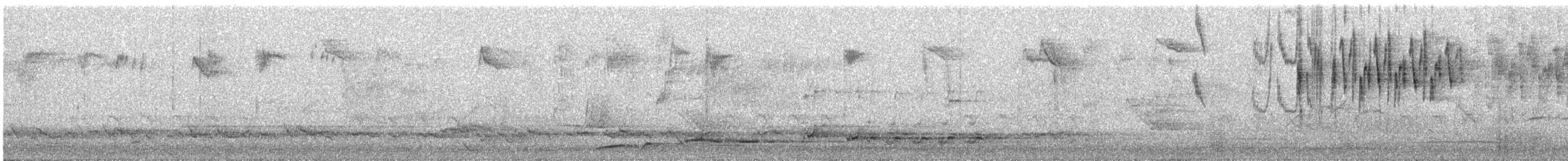 Purple-backed Fairywren - ML646036848