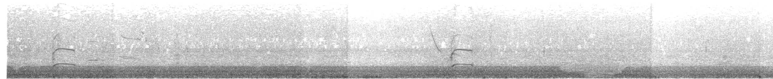 European Golden-Plover - ML646036849