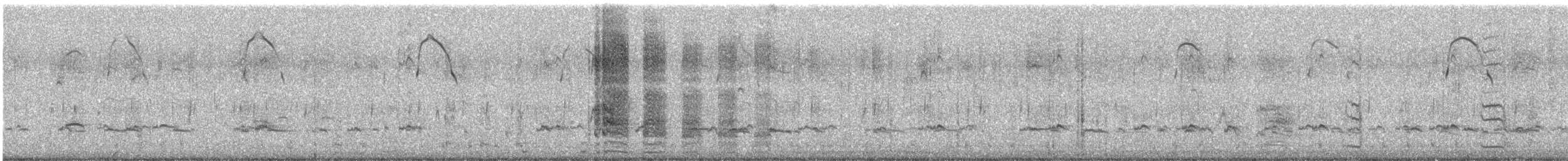 Green-winged Teal - ML646036968