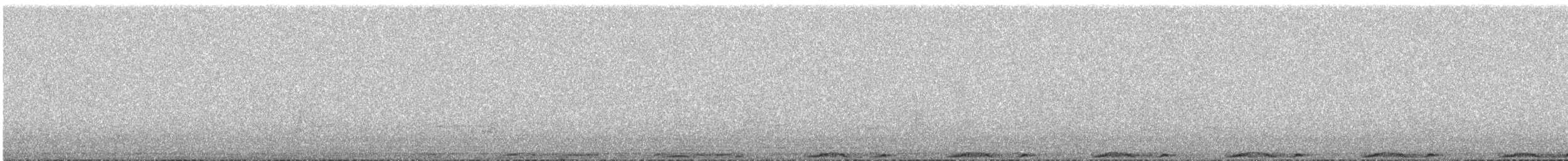 Stock Dove - ML646037063