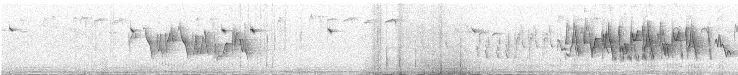 Greenish Warbler (viridanus) - ML646037115