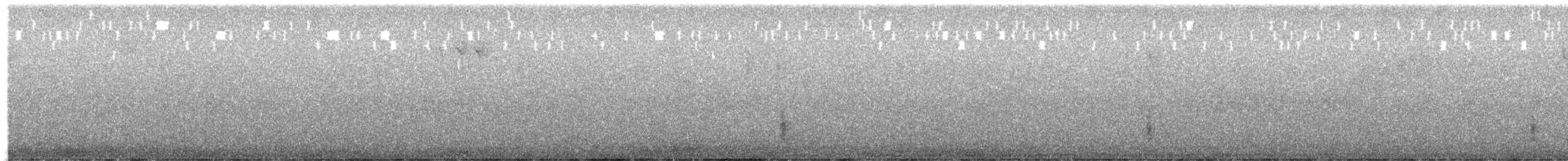 Dollarbird - ML646037174