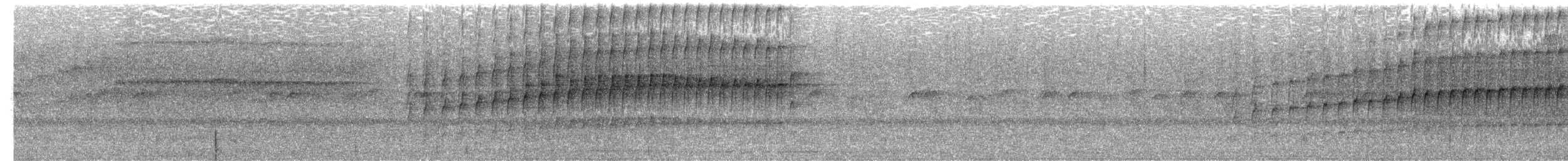 Sharp-tailed Streamcreeper - ML646037353