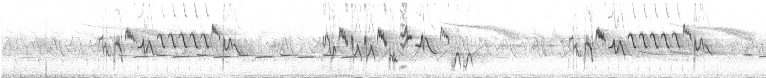 Hodgson txirta - ML646037377