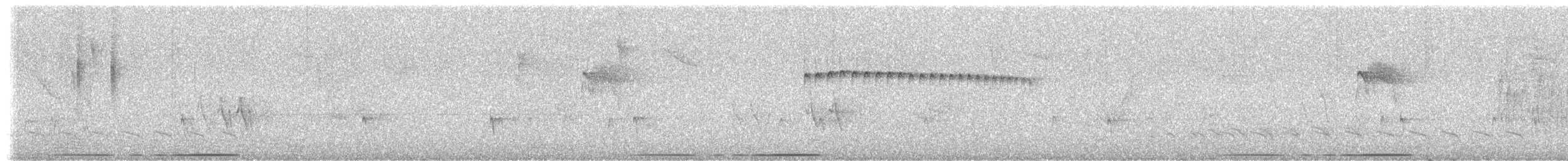 Large-tailed Dove - ML646037813