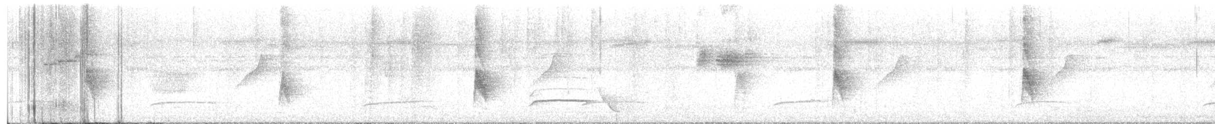 Rotschwanz-Mausdrossling - ML646037928