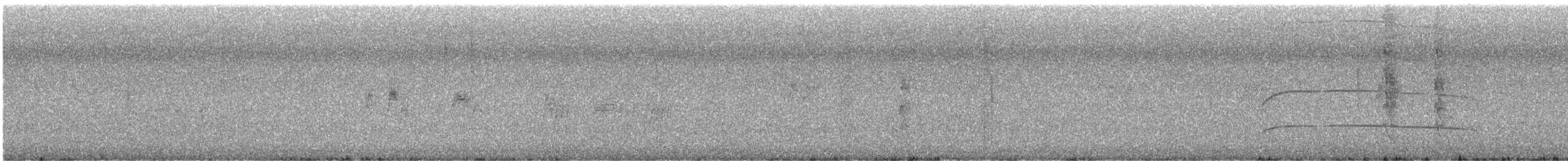 Серый тиранн - ML646037962