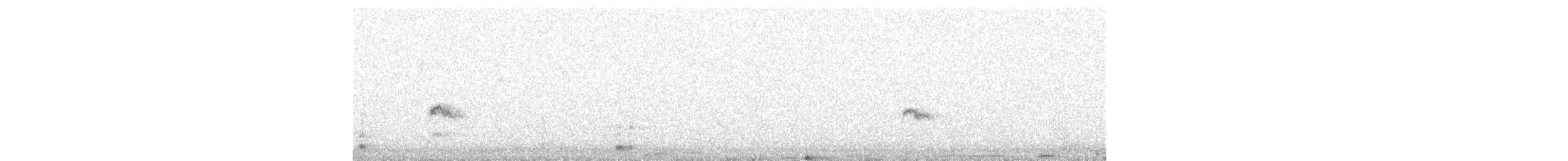 Black-winged Kite - ML646038399