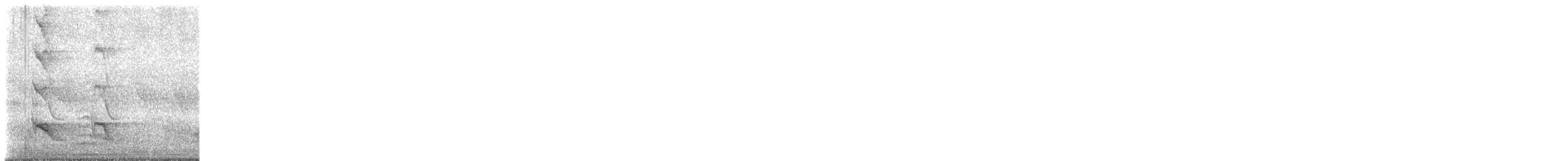 Common Myna - ML646038419