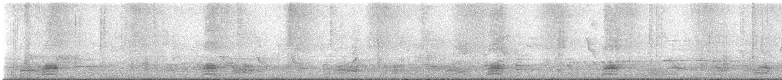 Cuervo Indio - ML646038424