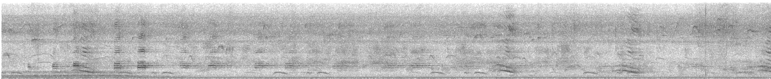 Amazona Real - ML646038486