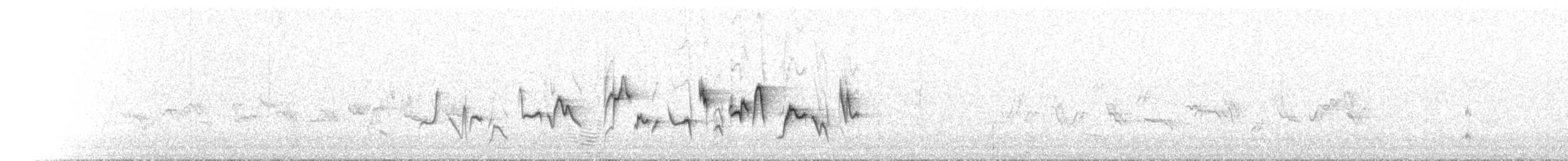 Anteojitos Australiano - ML646038708