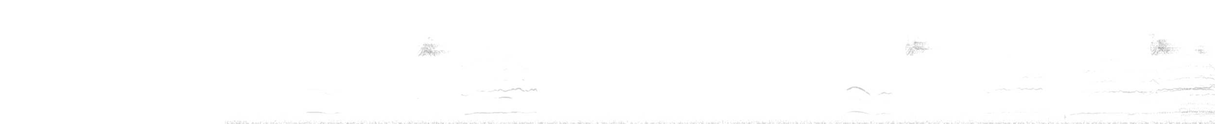 小辮鴴 - ML646038744