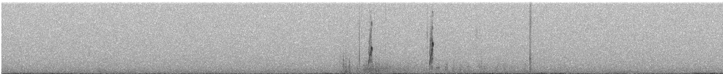 Chotacabras Ñañarca Grande - ML646038842