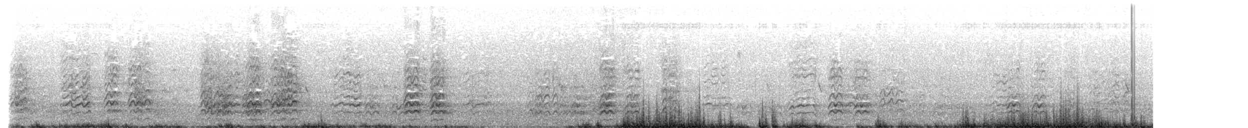 Cacatúa Picofina - ML646038871
