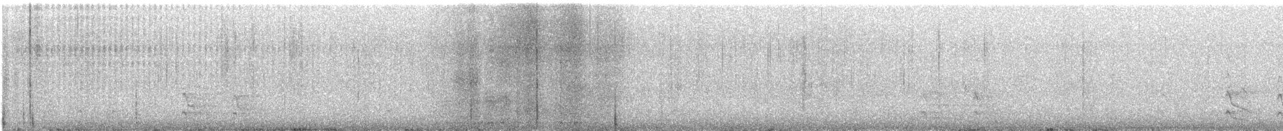 Каролинский дятел - ML646039059