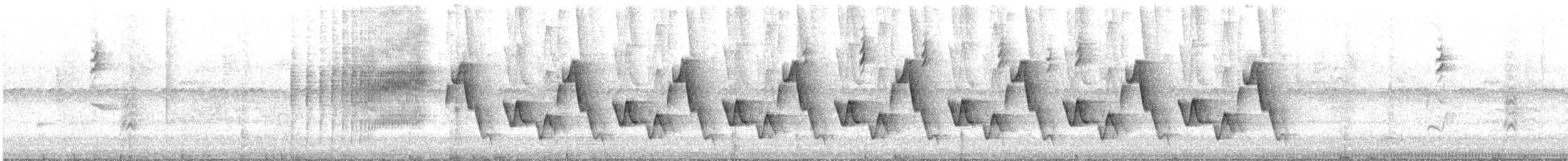 střízlík panamský - ML646039186