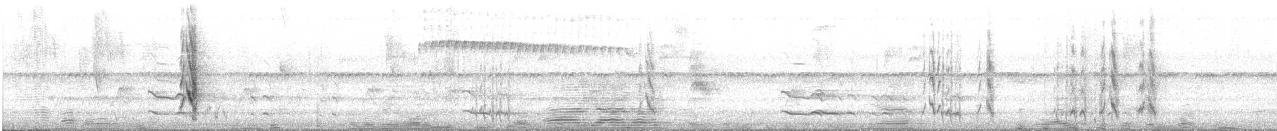 amazónek běločelý - ML646039210