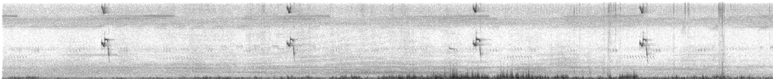 Australian Pipit - ML646039222