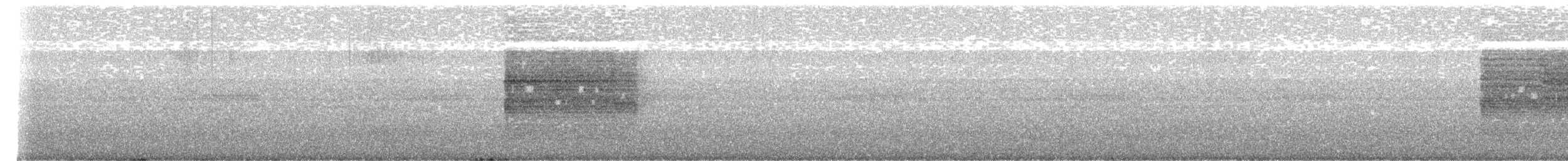 Мікрур тайванський - ML646039378