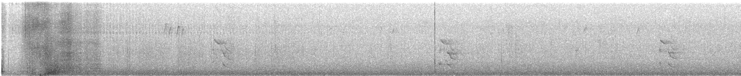 ハシボソキツツキ - ML646040134