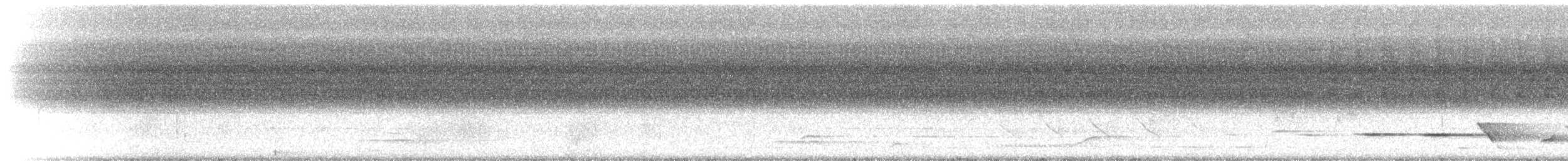 Clanger - ML646040230